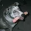 null2505