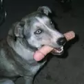 null2505