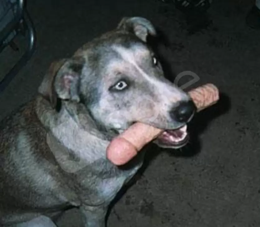 Advertisement (349238) - null2505 1