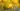 Username